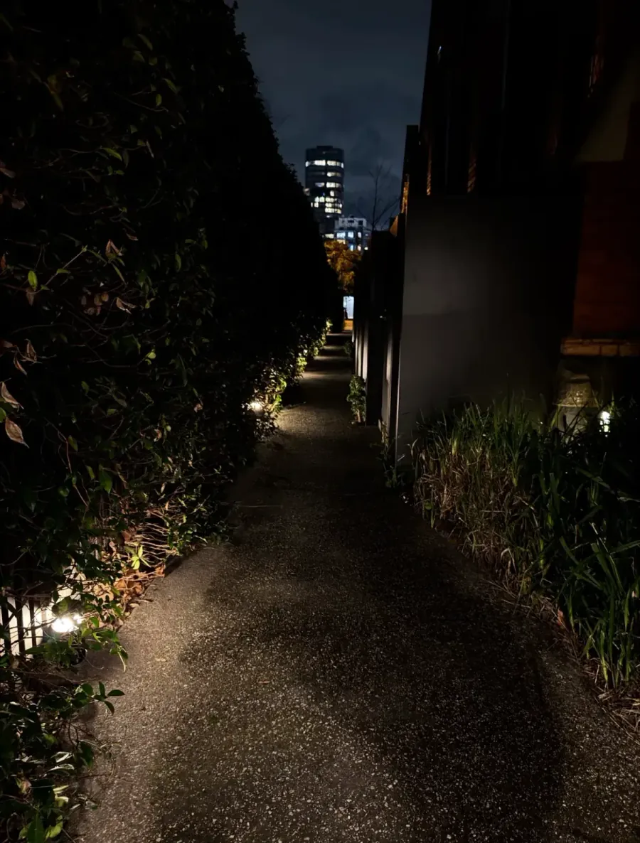 Garden path with bollard lighting at night and a Melbourne city tower beyond, by Accorto Electrical